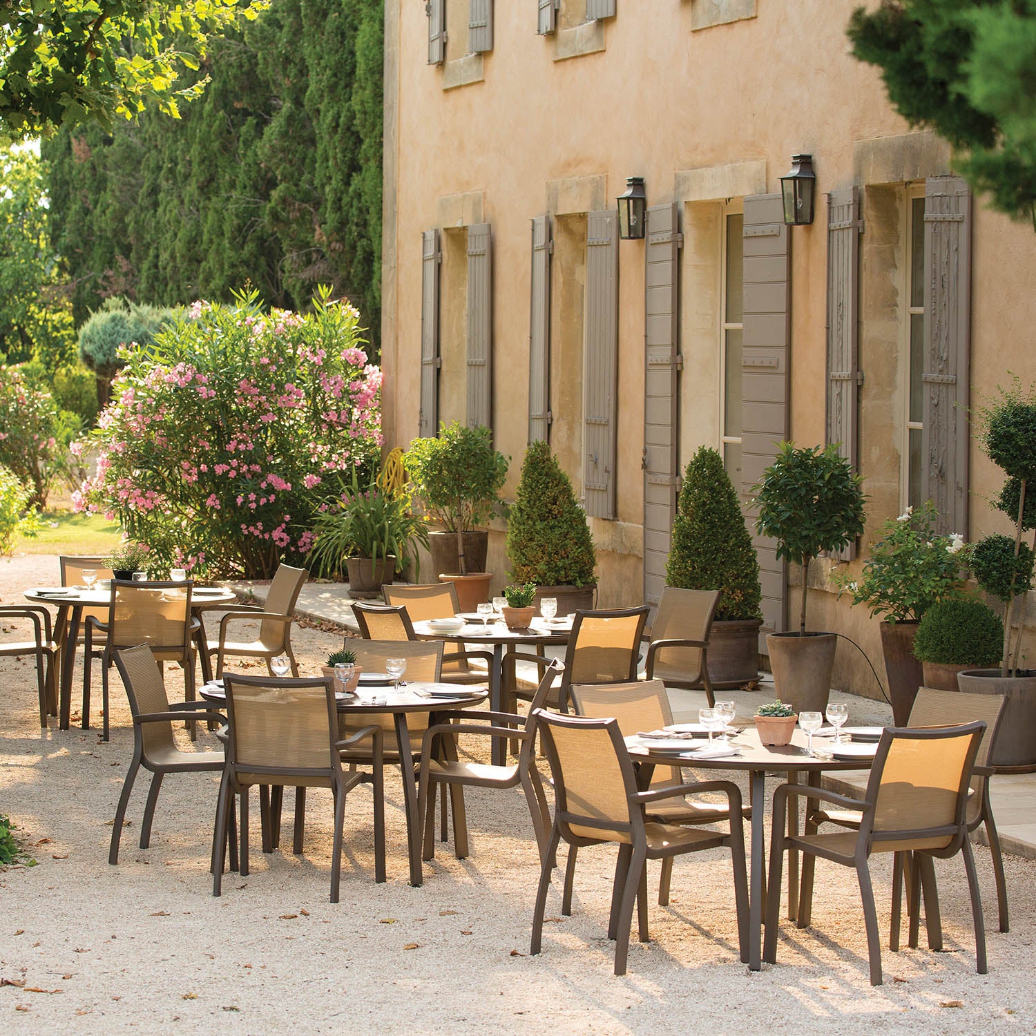 #color_Cognac/Fusion Bronze