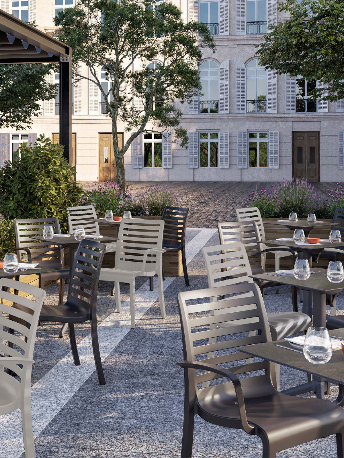 Astoria Dining Chairs and Armchairs