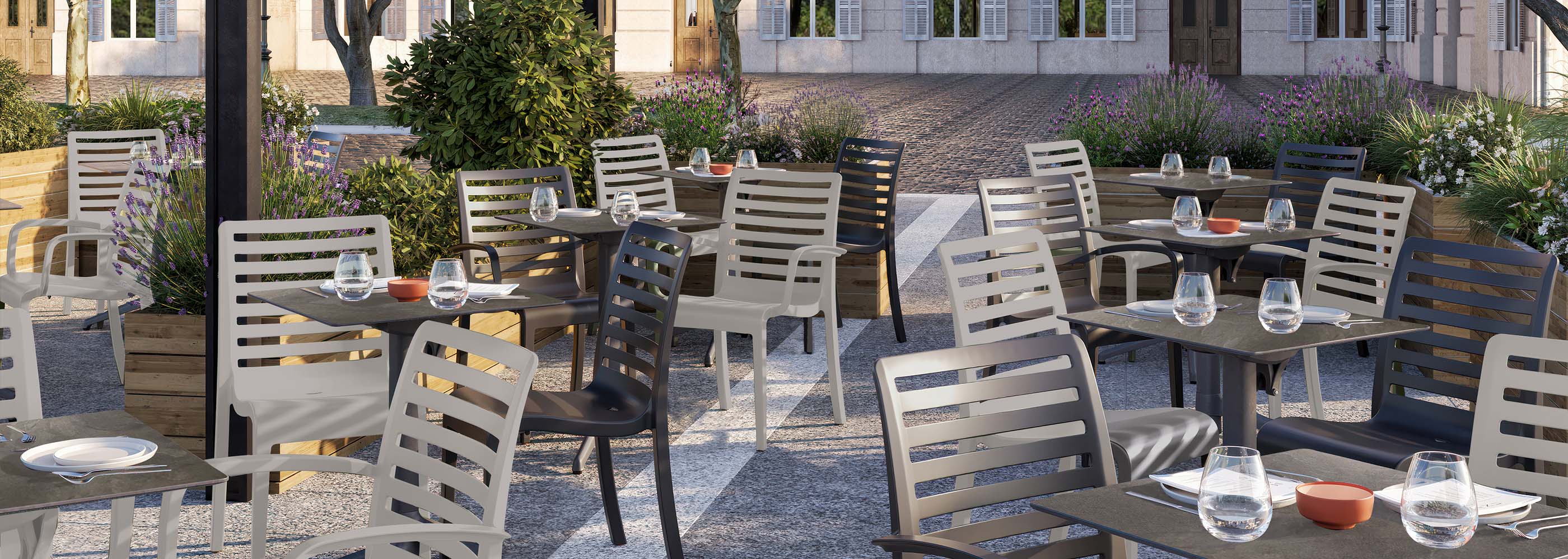 Astoria Dining Chairs and Armchairs
