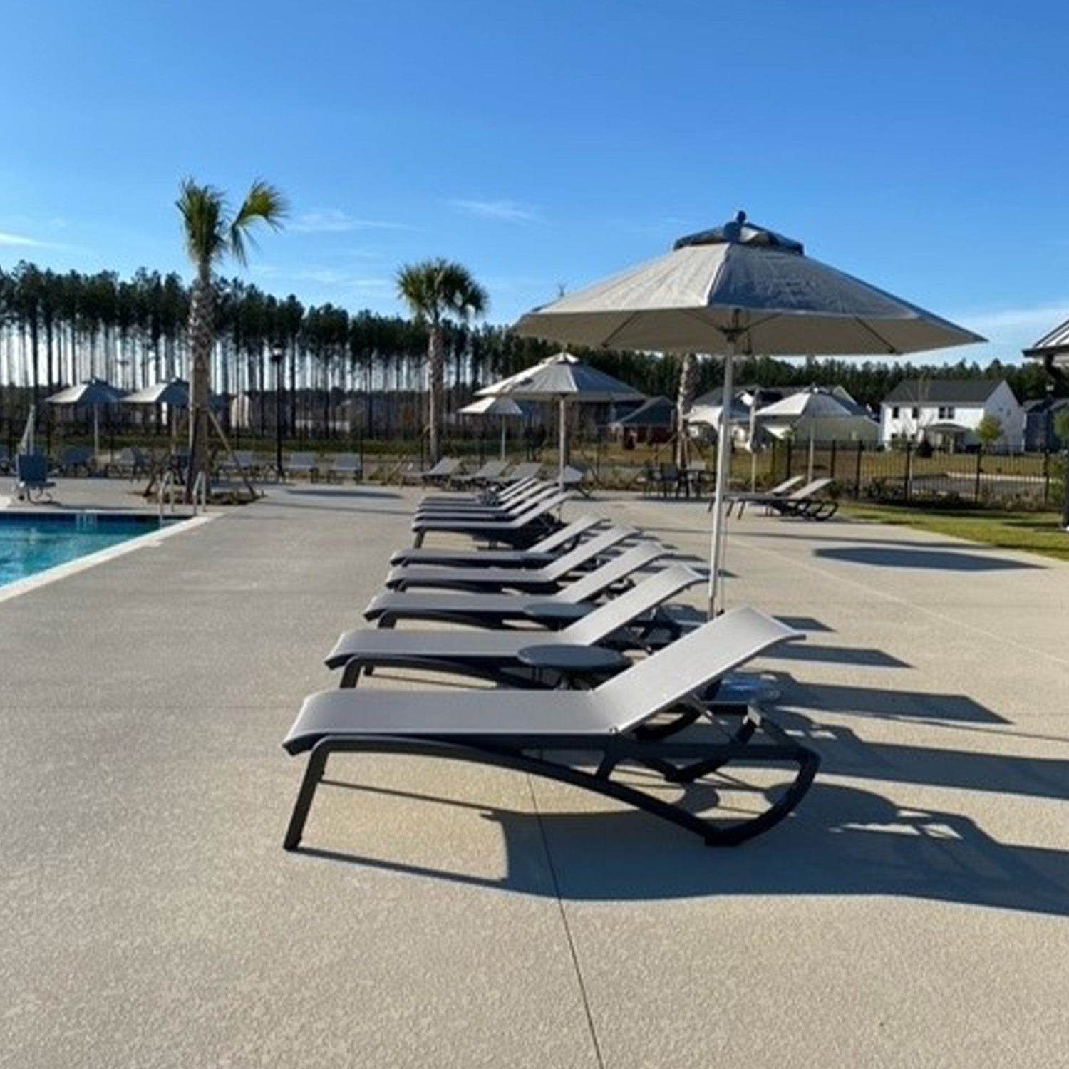 A line of Sunset Chaise Lounges with palm trees in the background