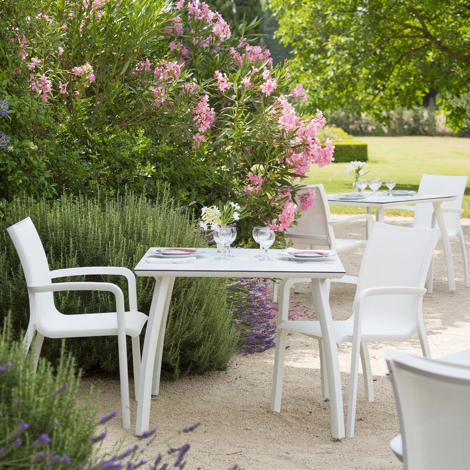 #color_White/Glacier White