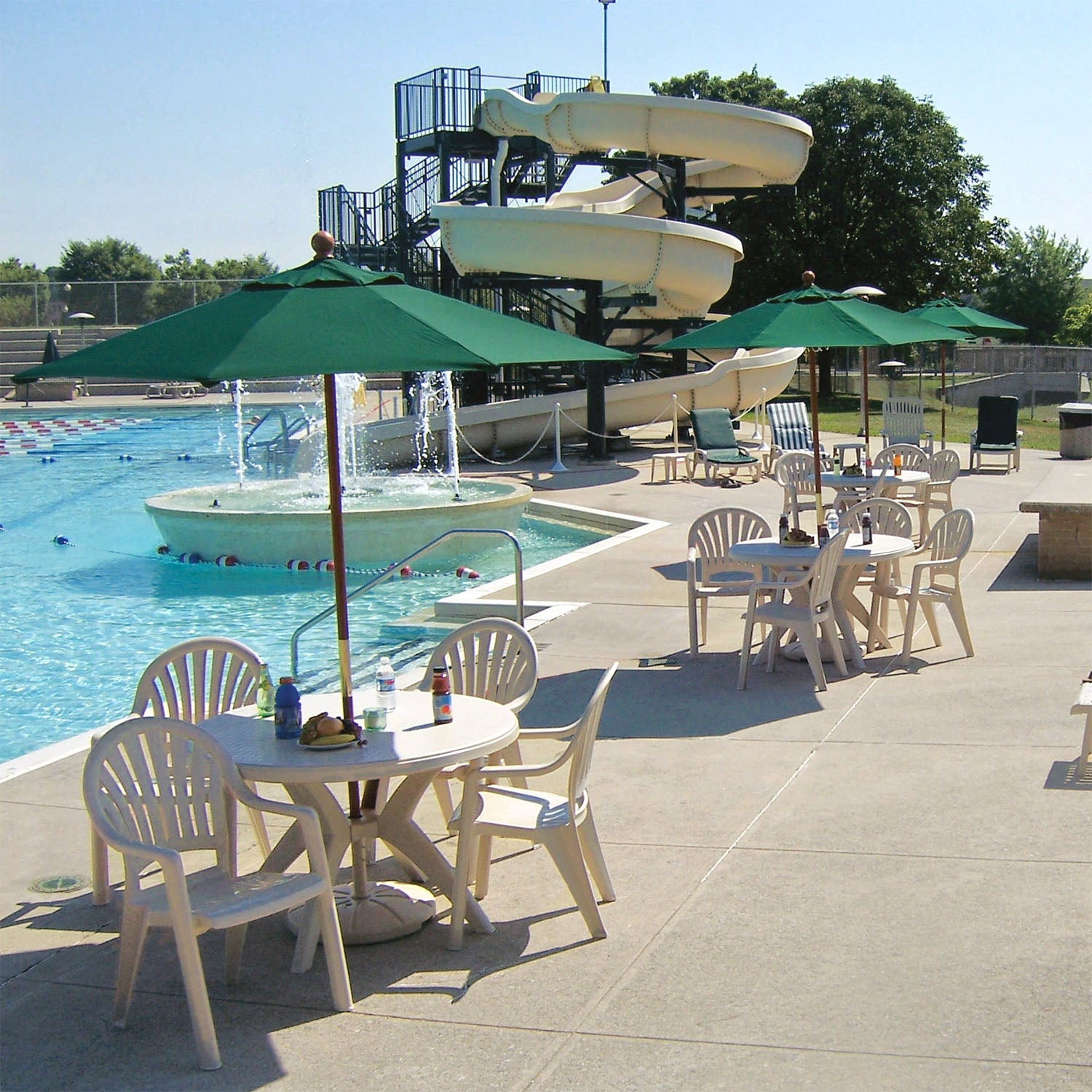 #color_Forest Green (Canopy)