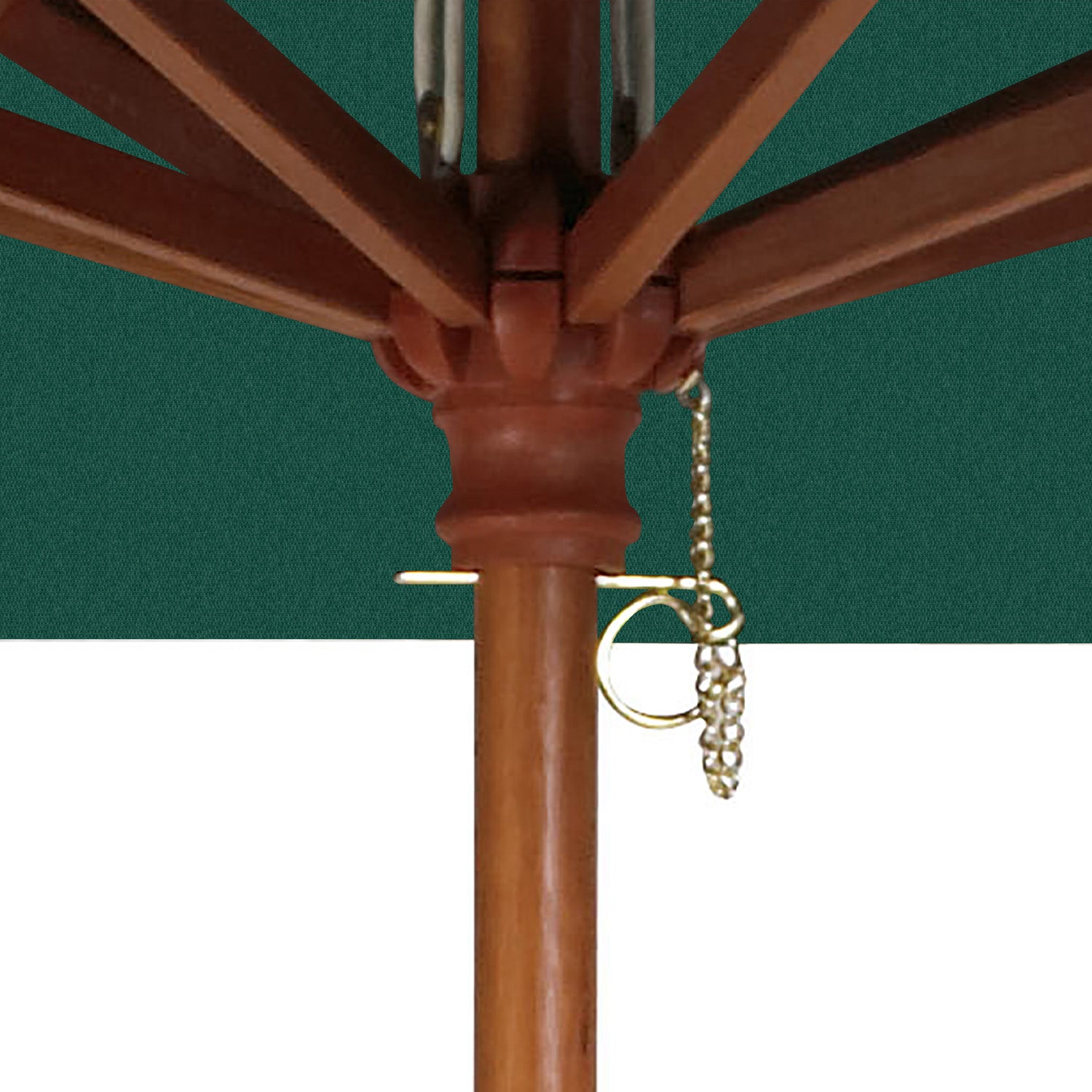 #color_Forest Green (Canopy)