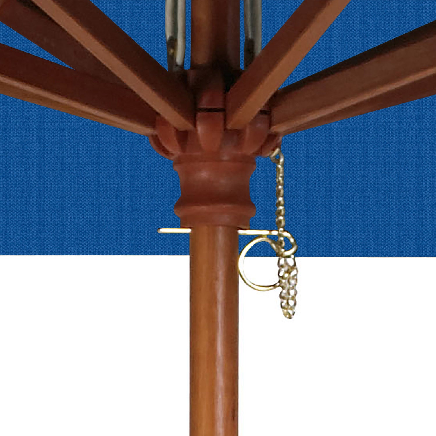 #color_Pacific Blue (Canopy)