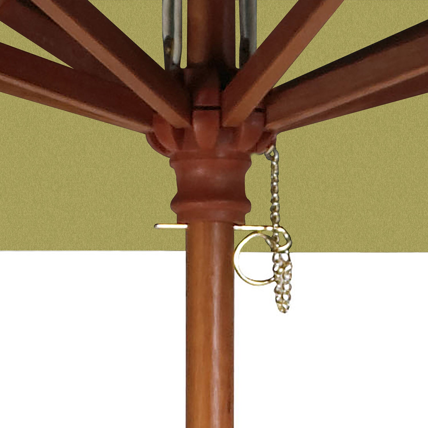 #color_Pesto (Canopy)