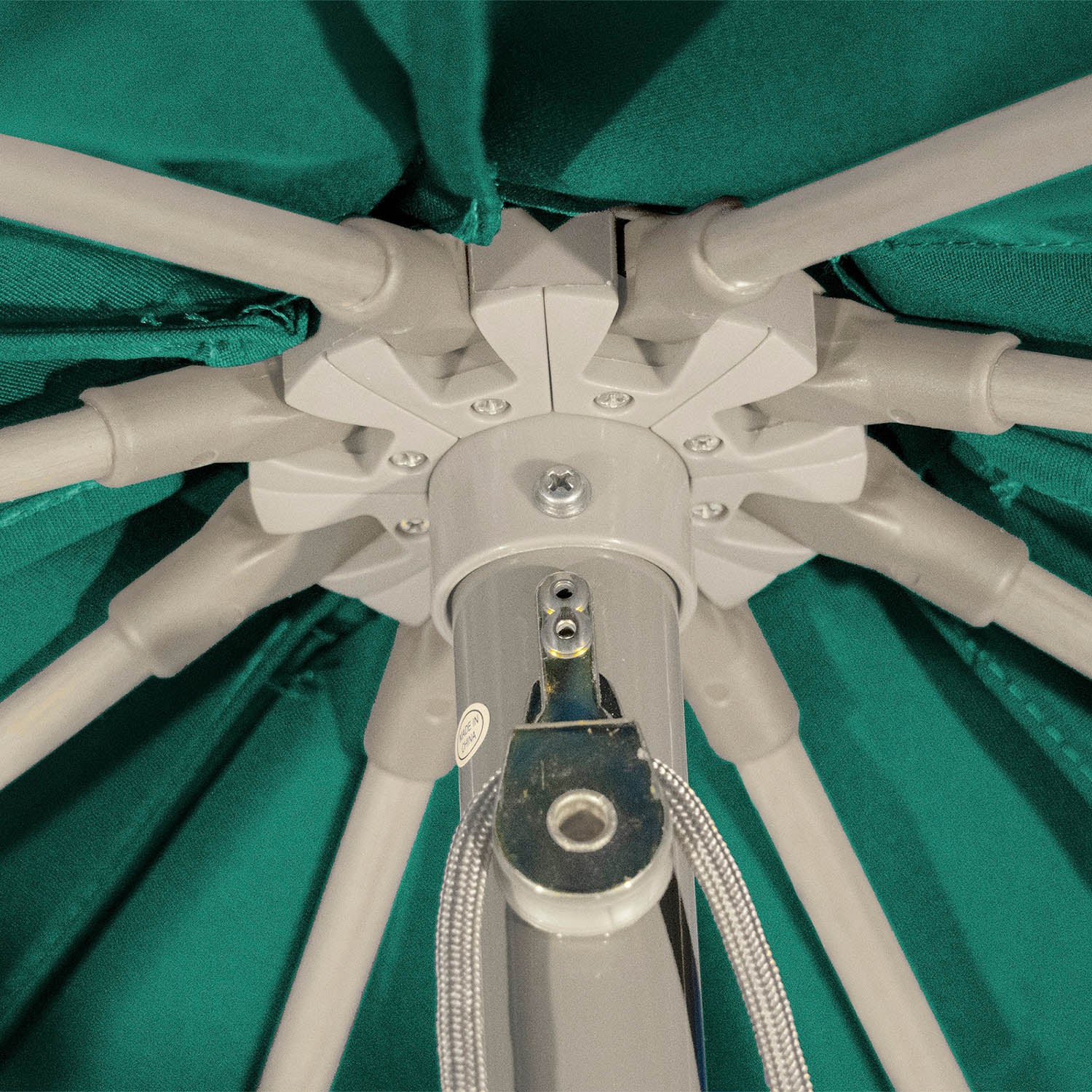 #color_Forest Green (Canopy)