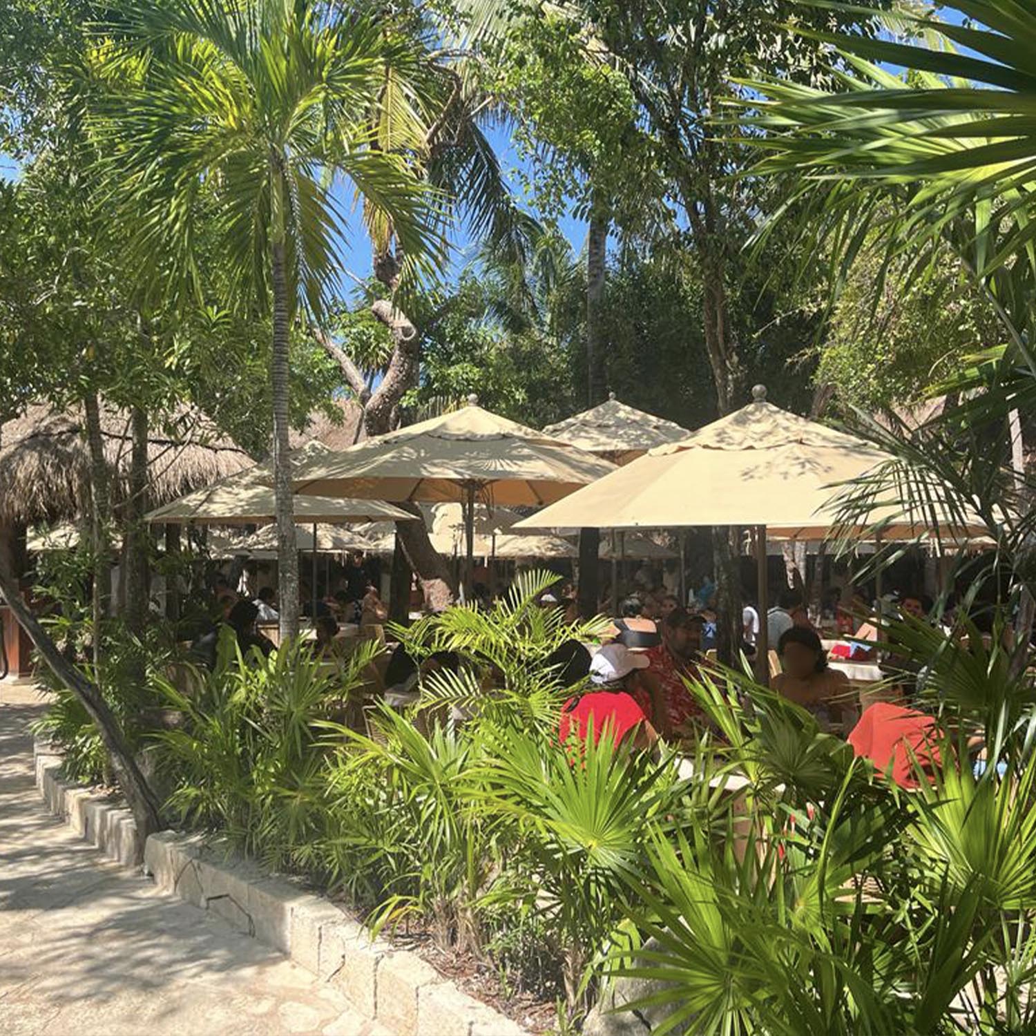 #color_Khaki (Canopy)