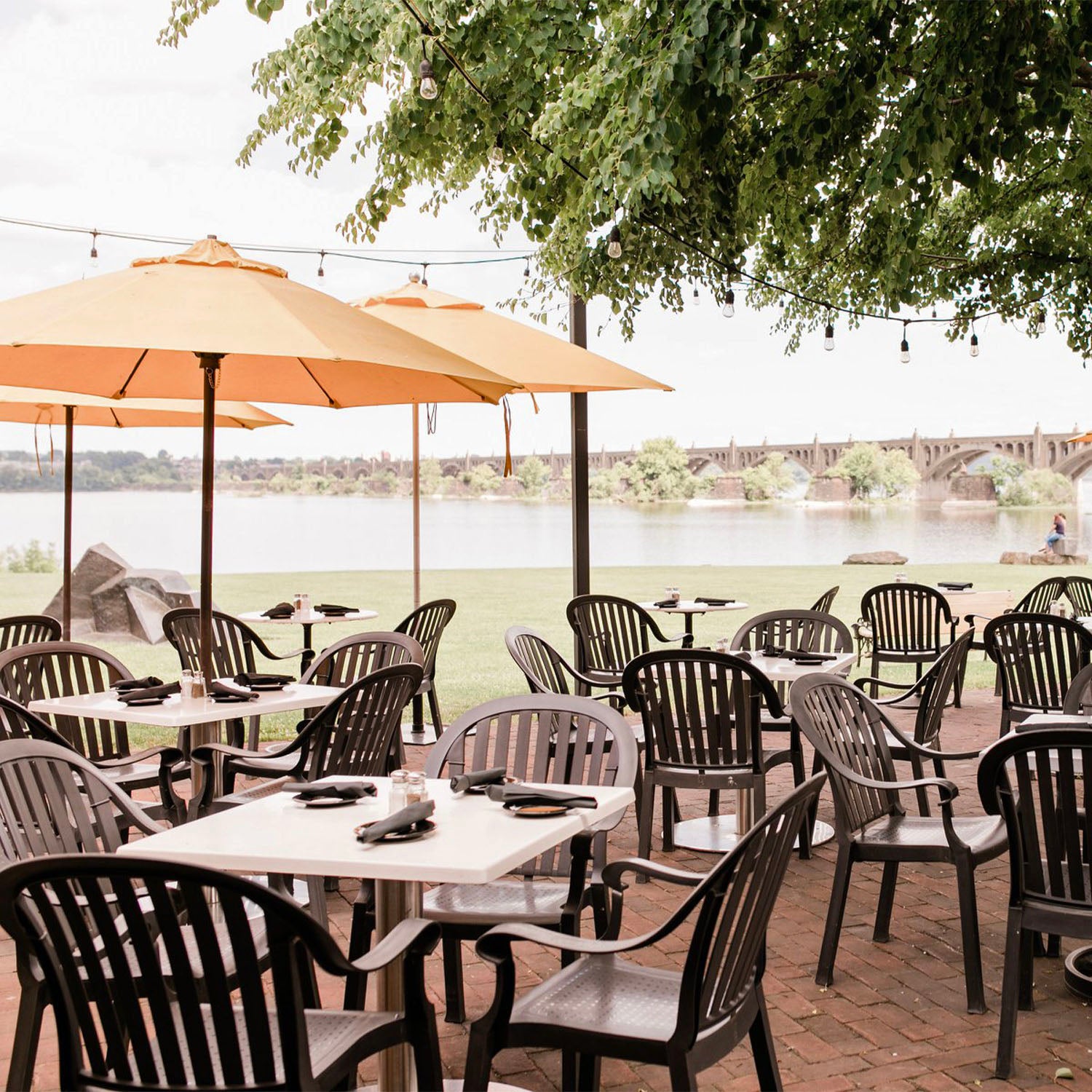 #color_Khaki (Canopy)