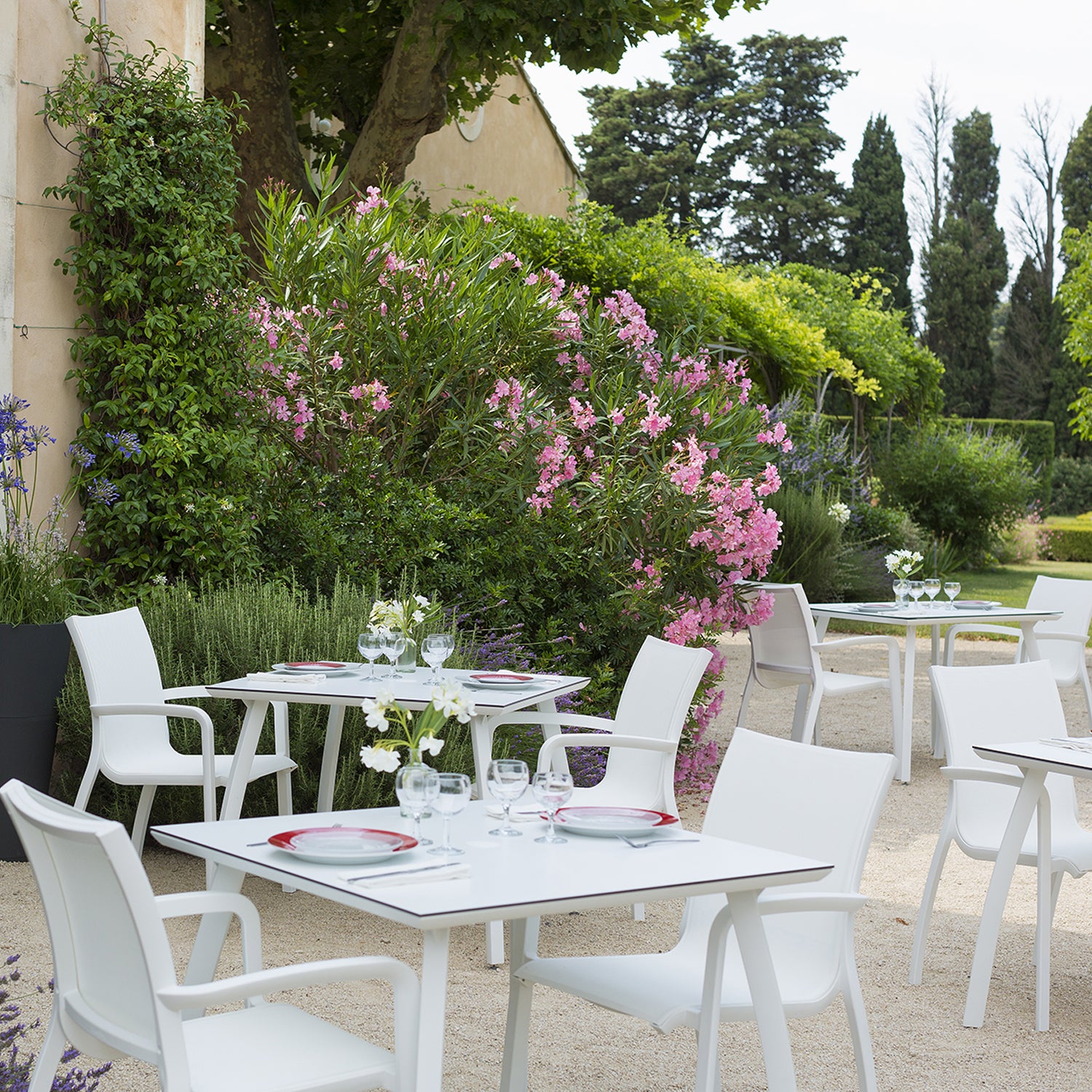 #color_White/Glacier White