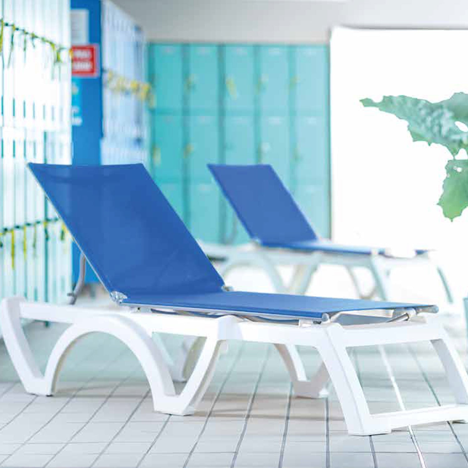 #color_Blue Sling/White Frame