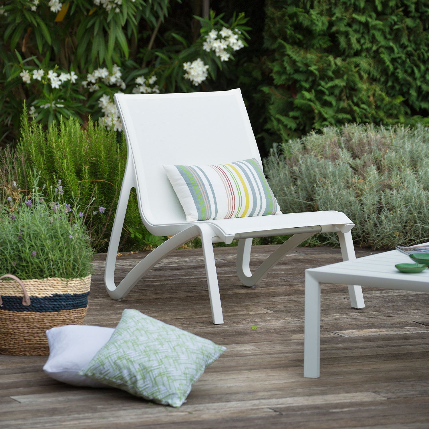 #color_White/Glacier White