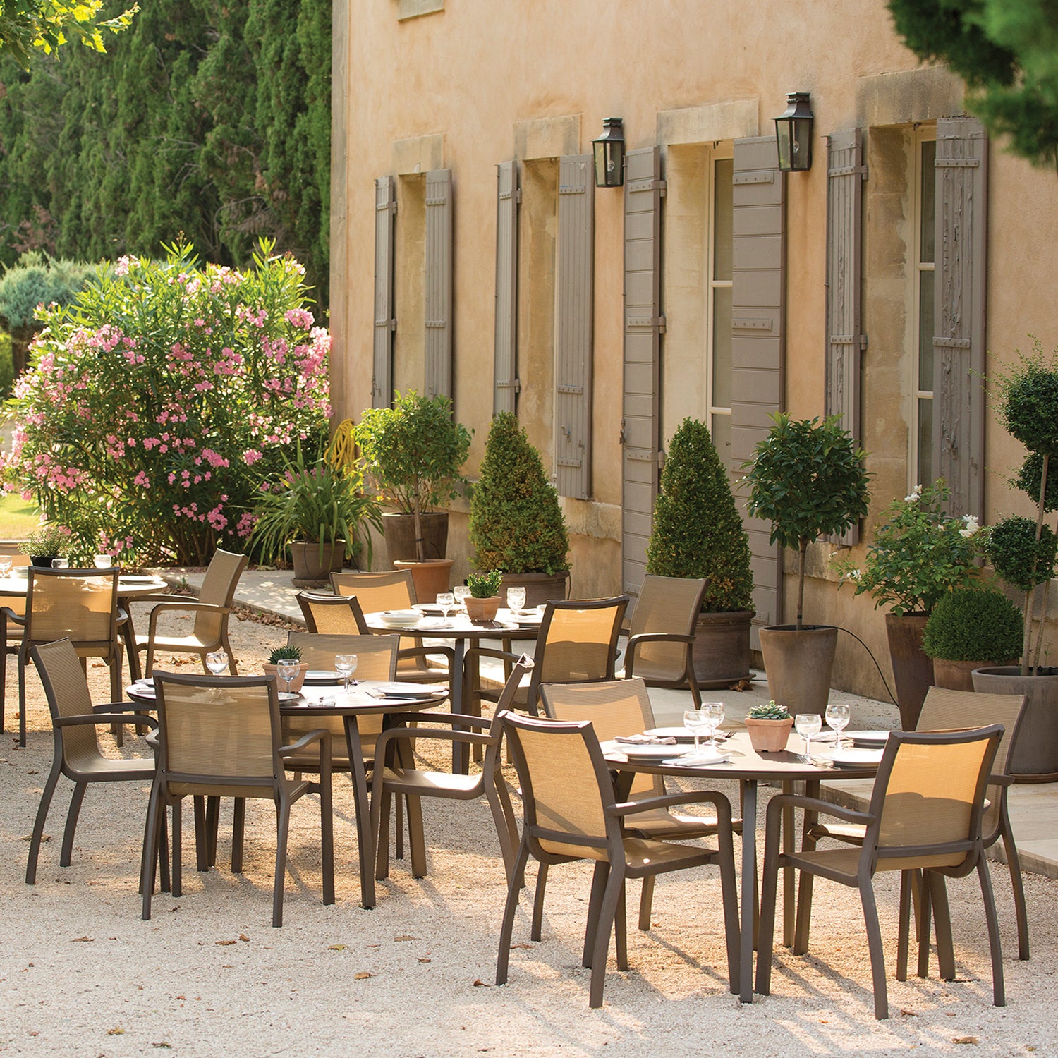 #color_Lava/Fusion Bronze