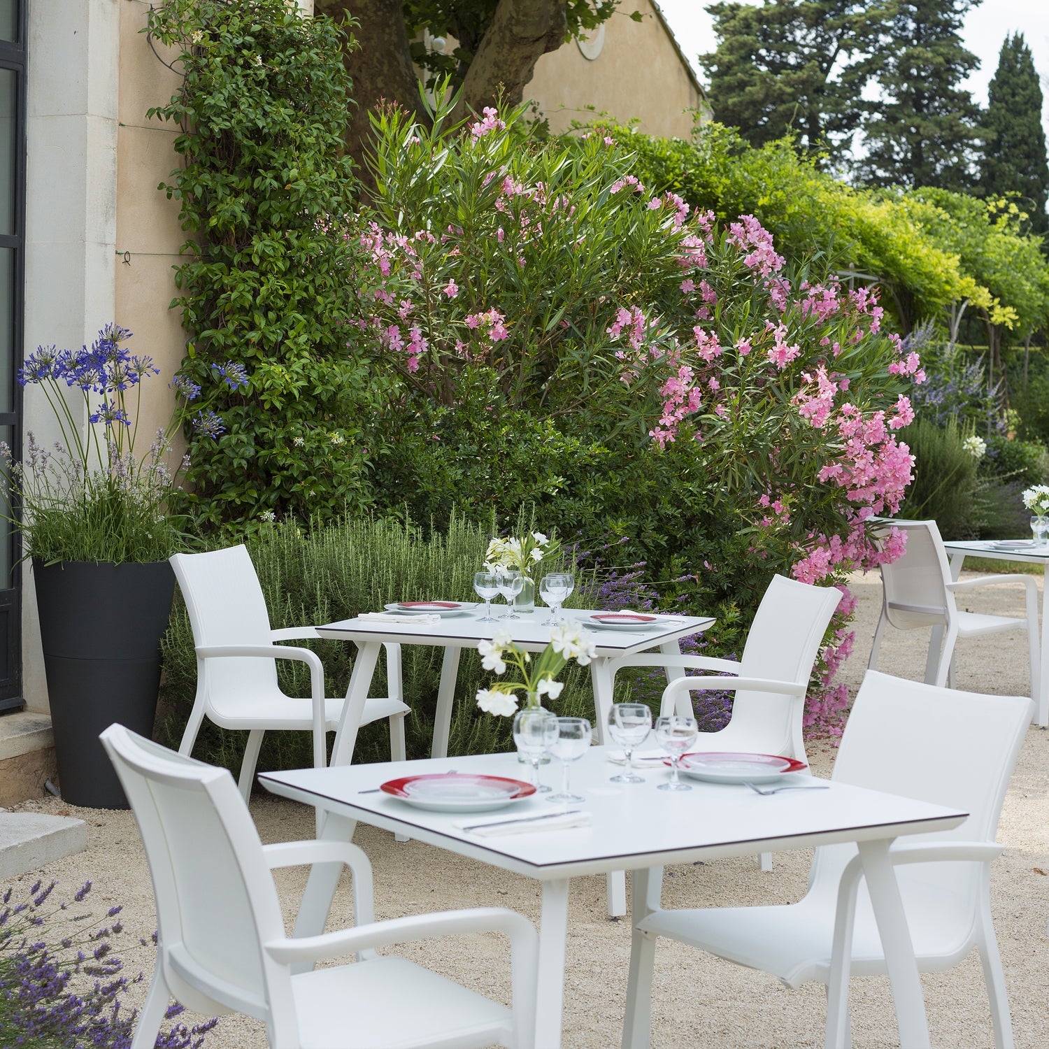 #color_White/Glacier White