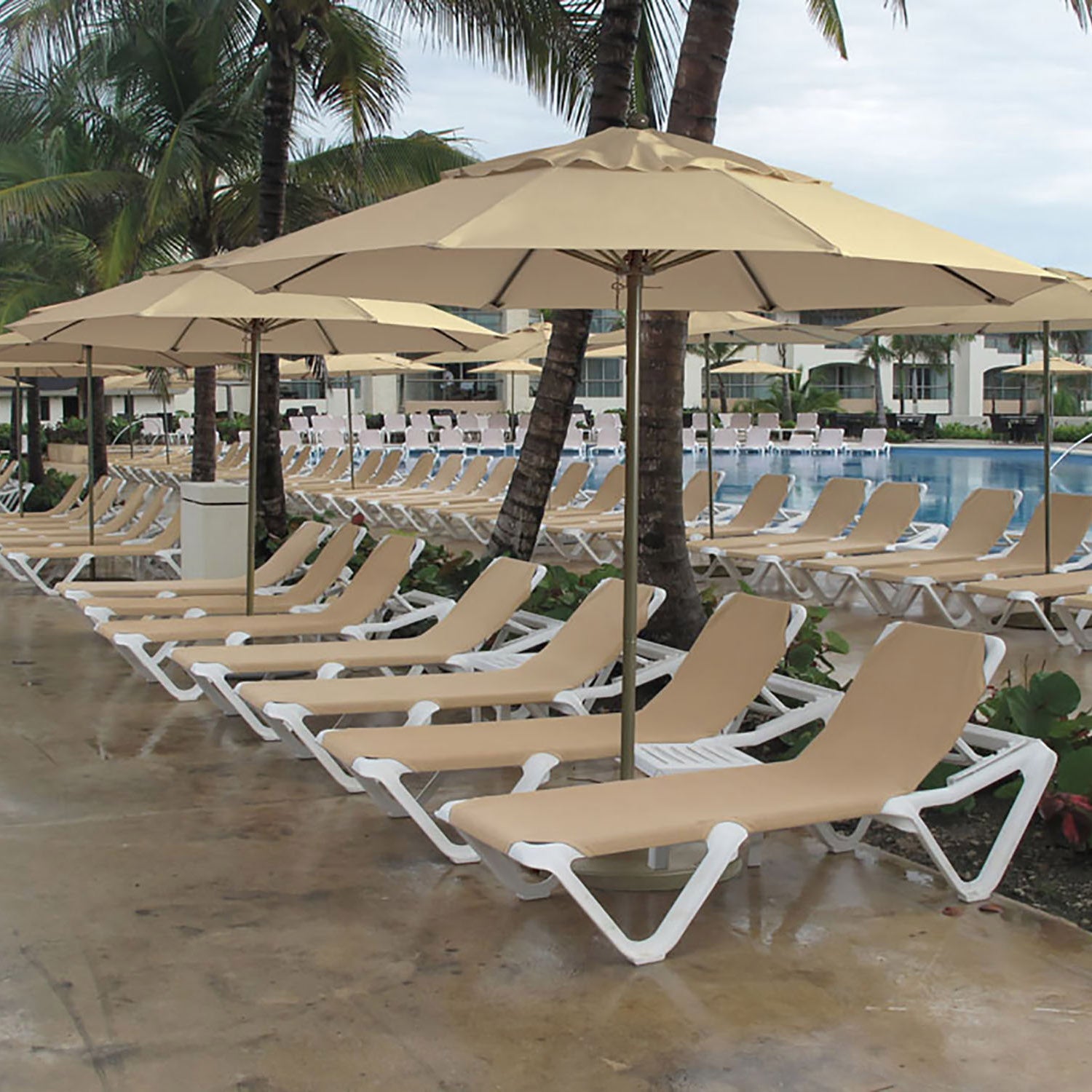 #color_Khaki (Canopy)