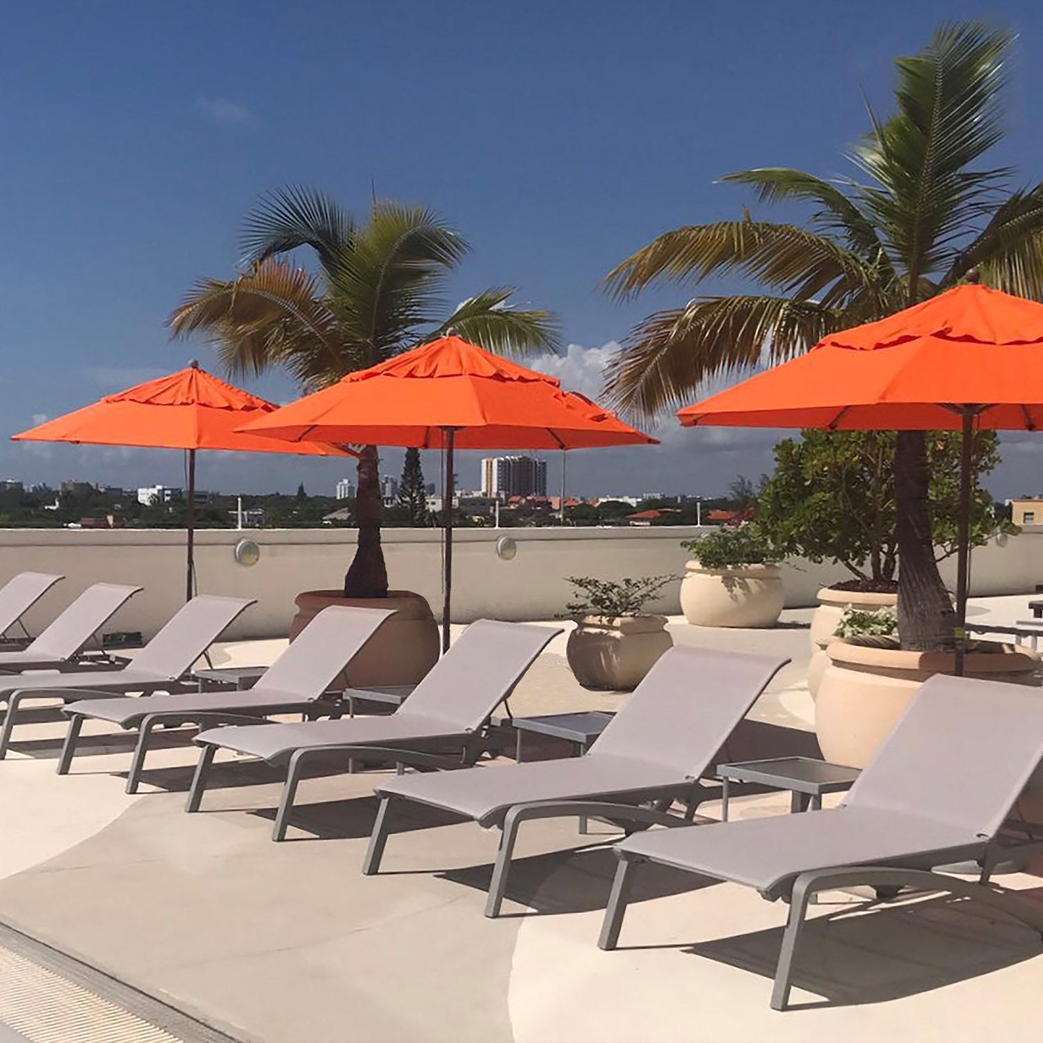 #color_Orange (Canopy)