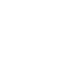 Image of a Made in the USA Icon